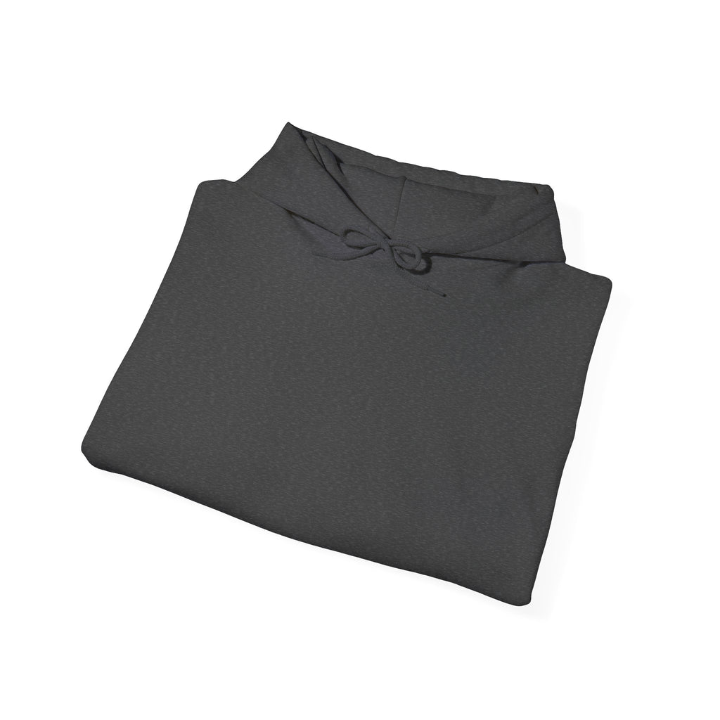 Punjab Backside Hoodie