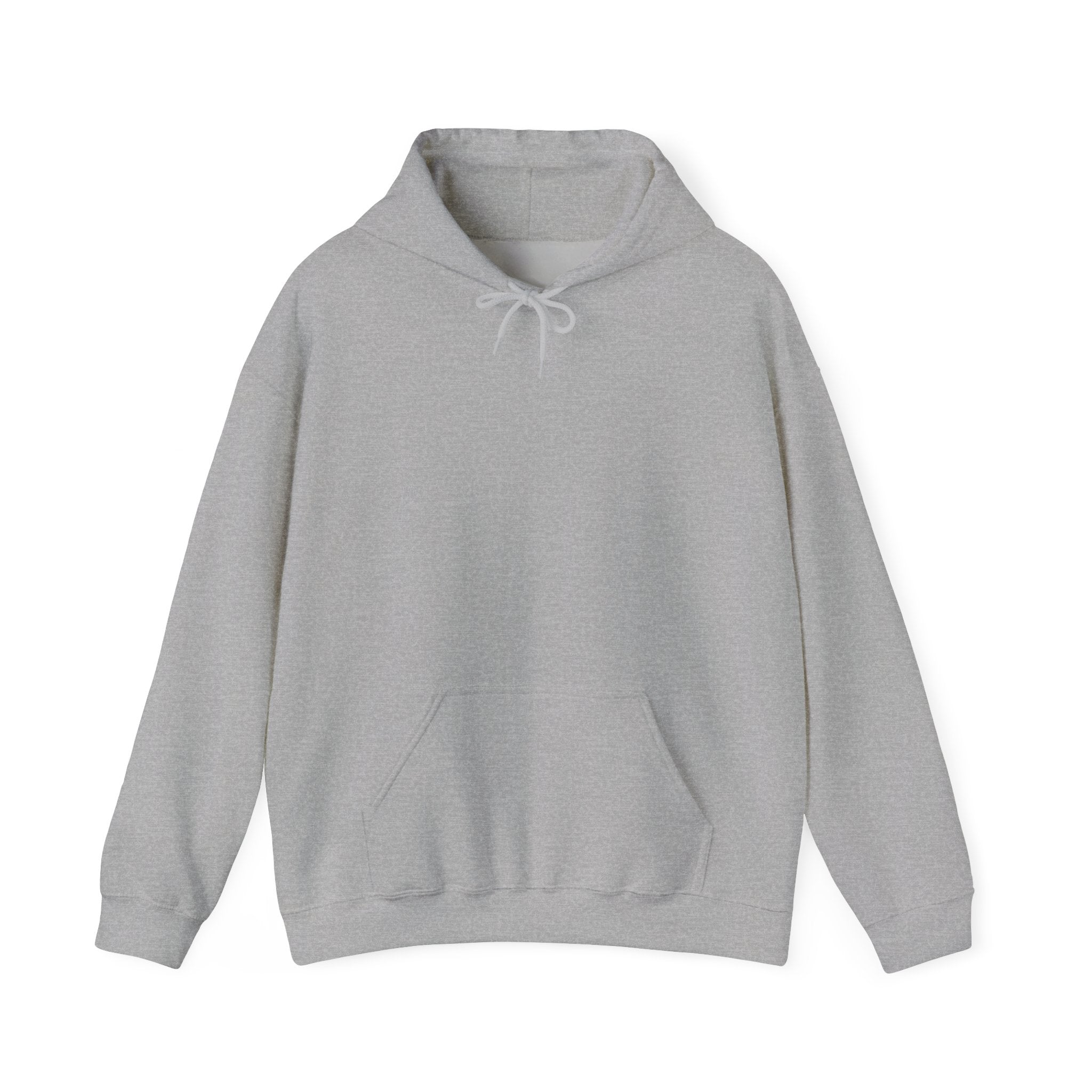 Punjab Backside Hoodie