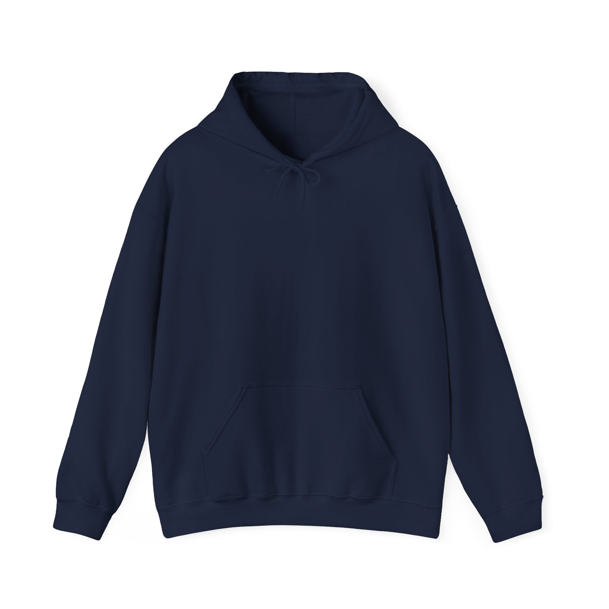 Punjab Backside Hoodie