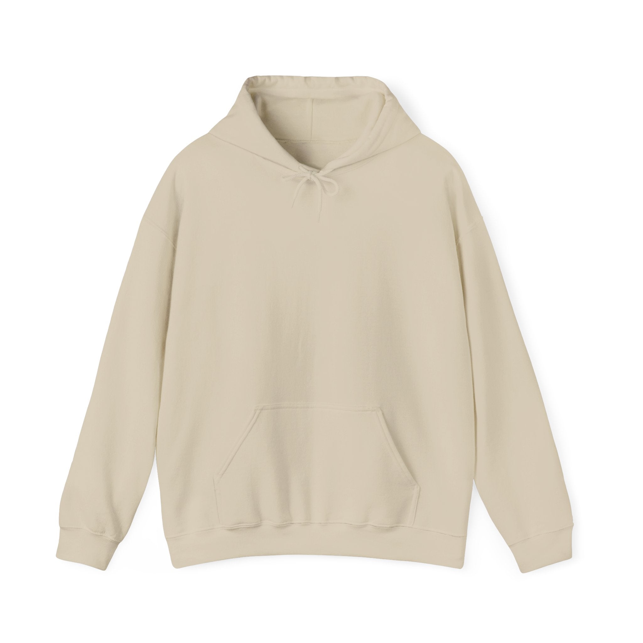 Punjab Backside Hoodie