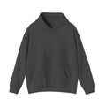 Punjab Backside Hoodie