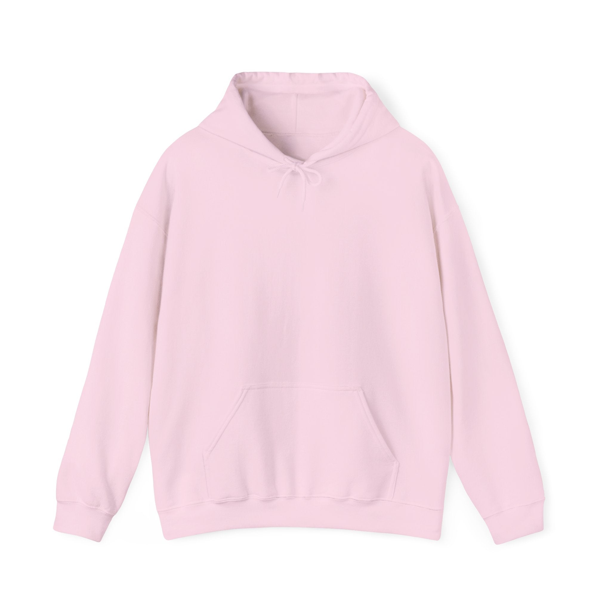 Punjab Backside Hoodie