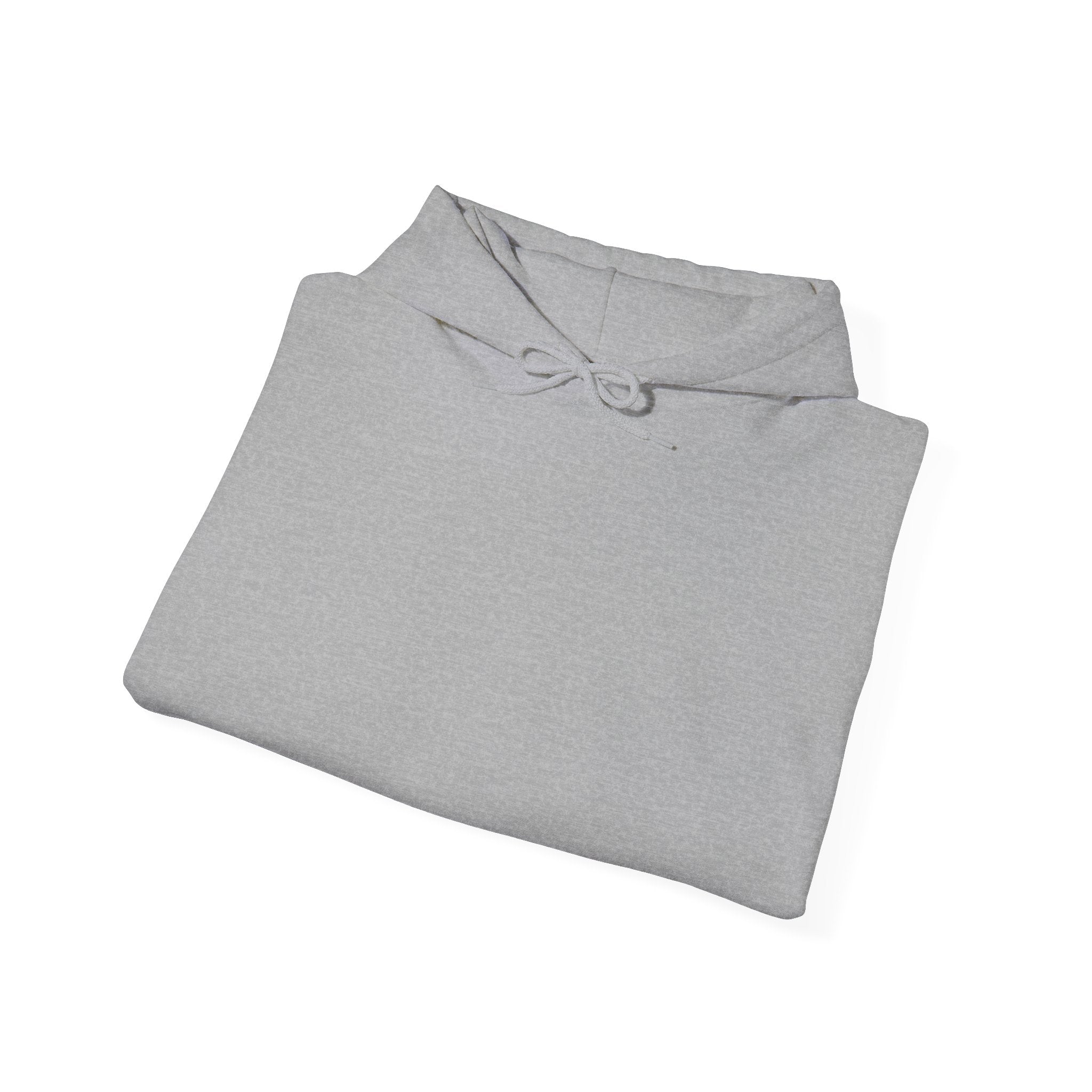 Punjab Backside Hoodie