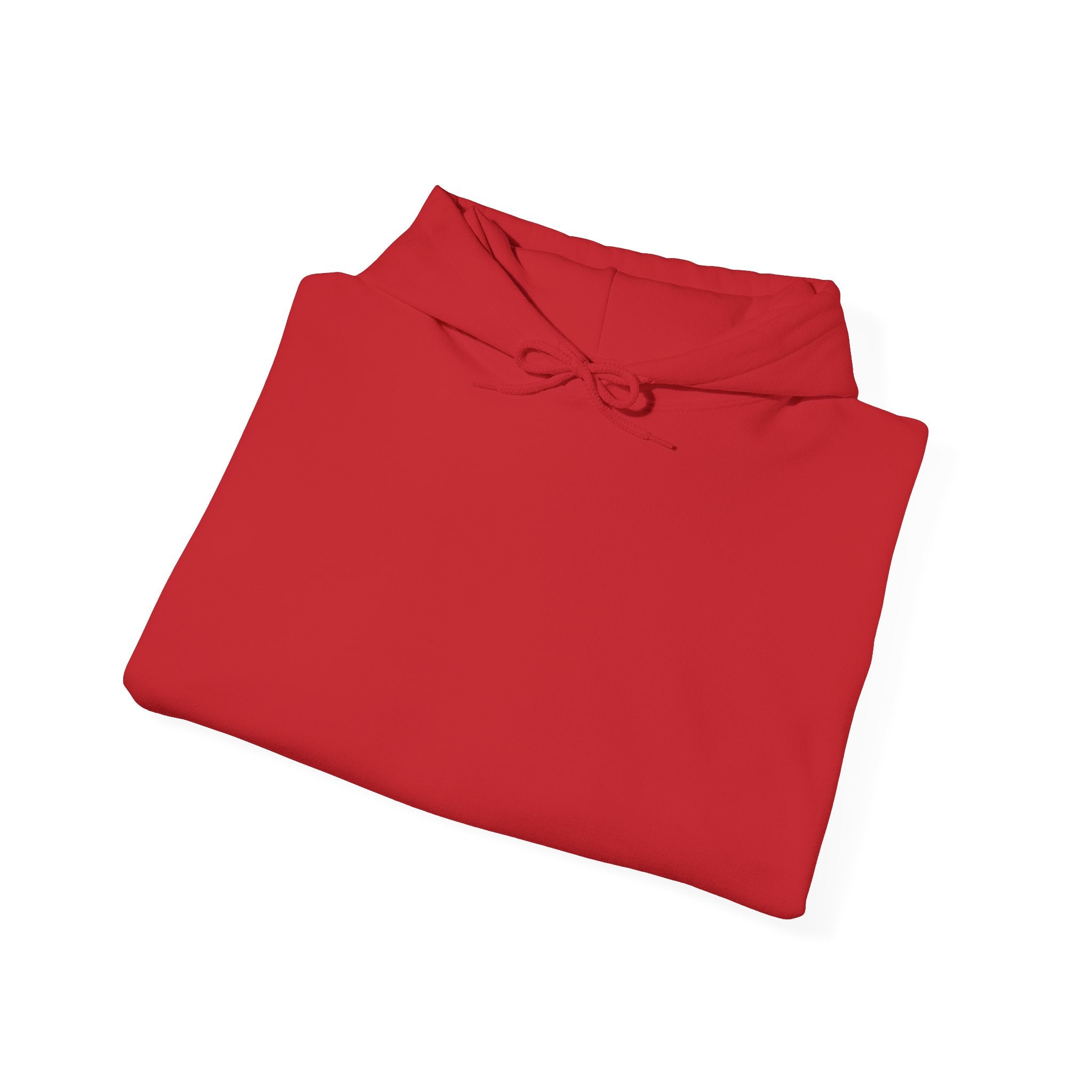 Punjab Backside Hoodie