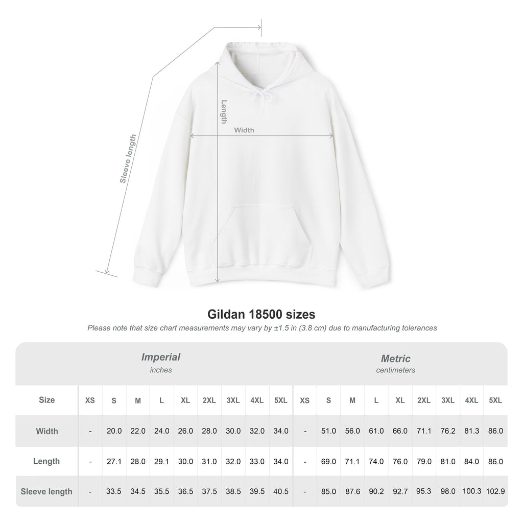 Heavy Blend Punjab Hoodie