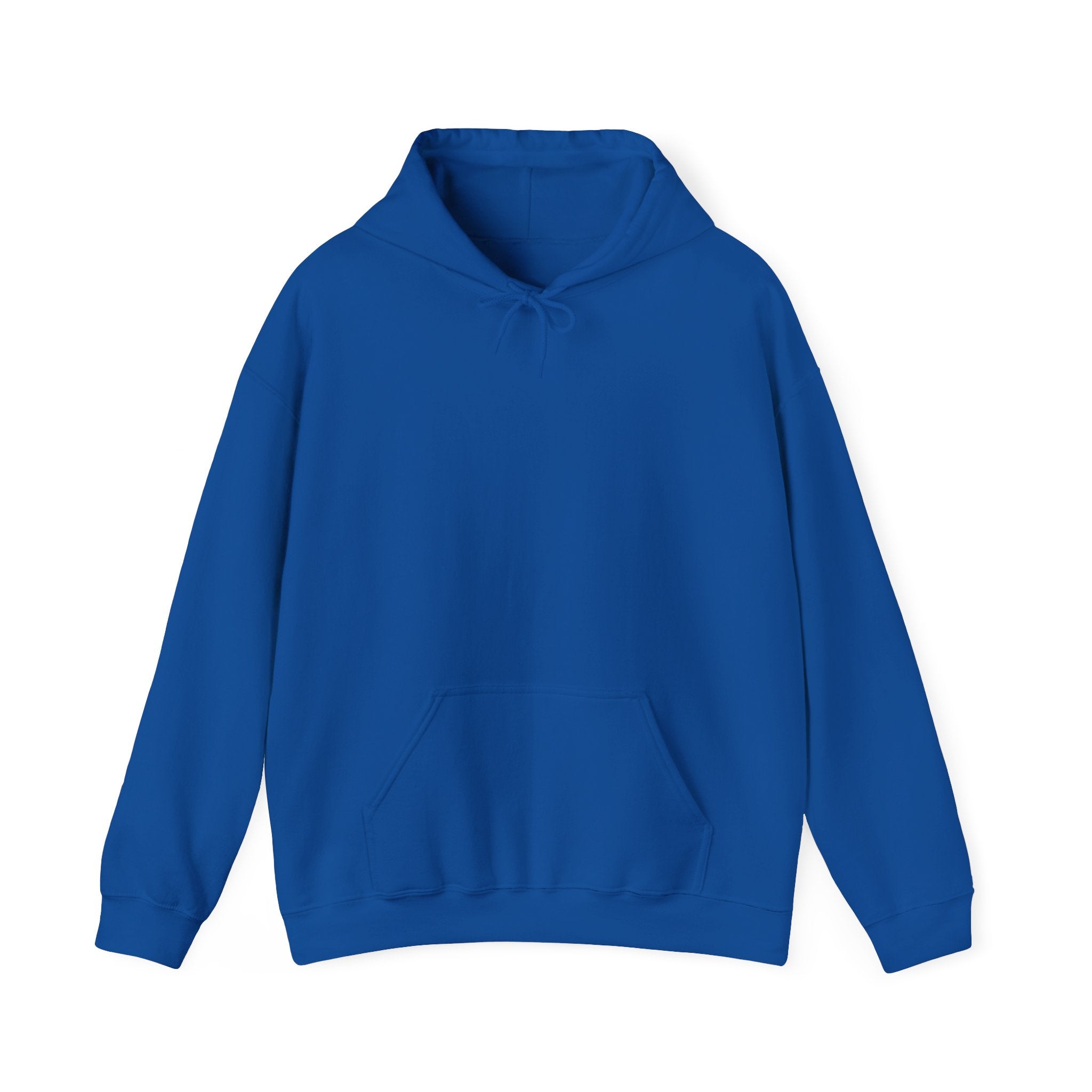 Punjab Backside Hoodie