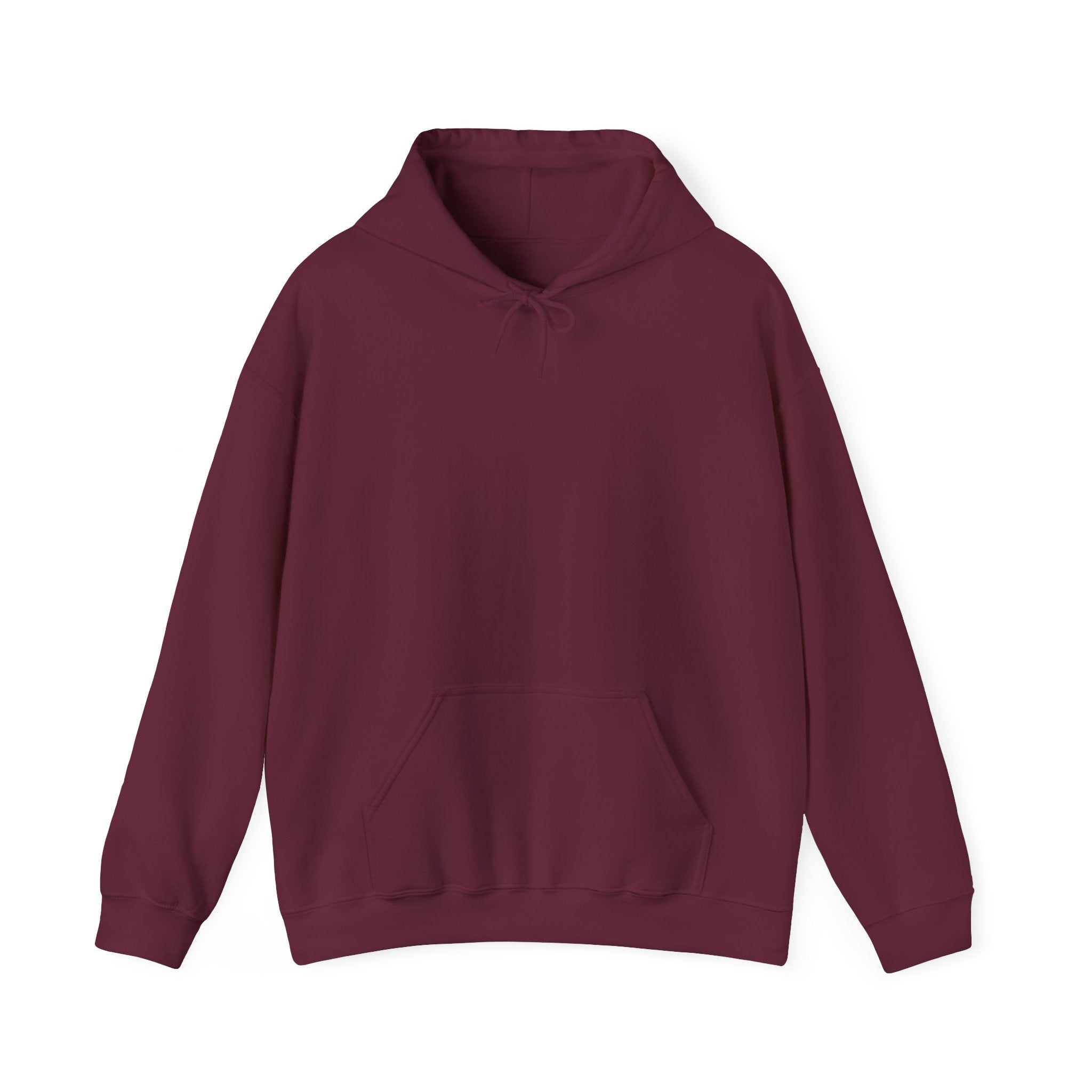 Punjab Backside Hoodie
