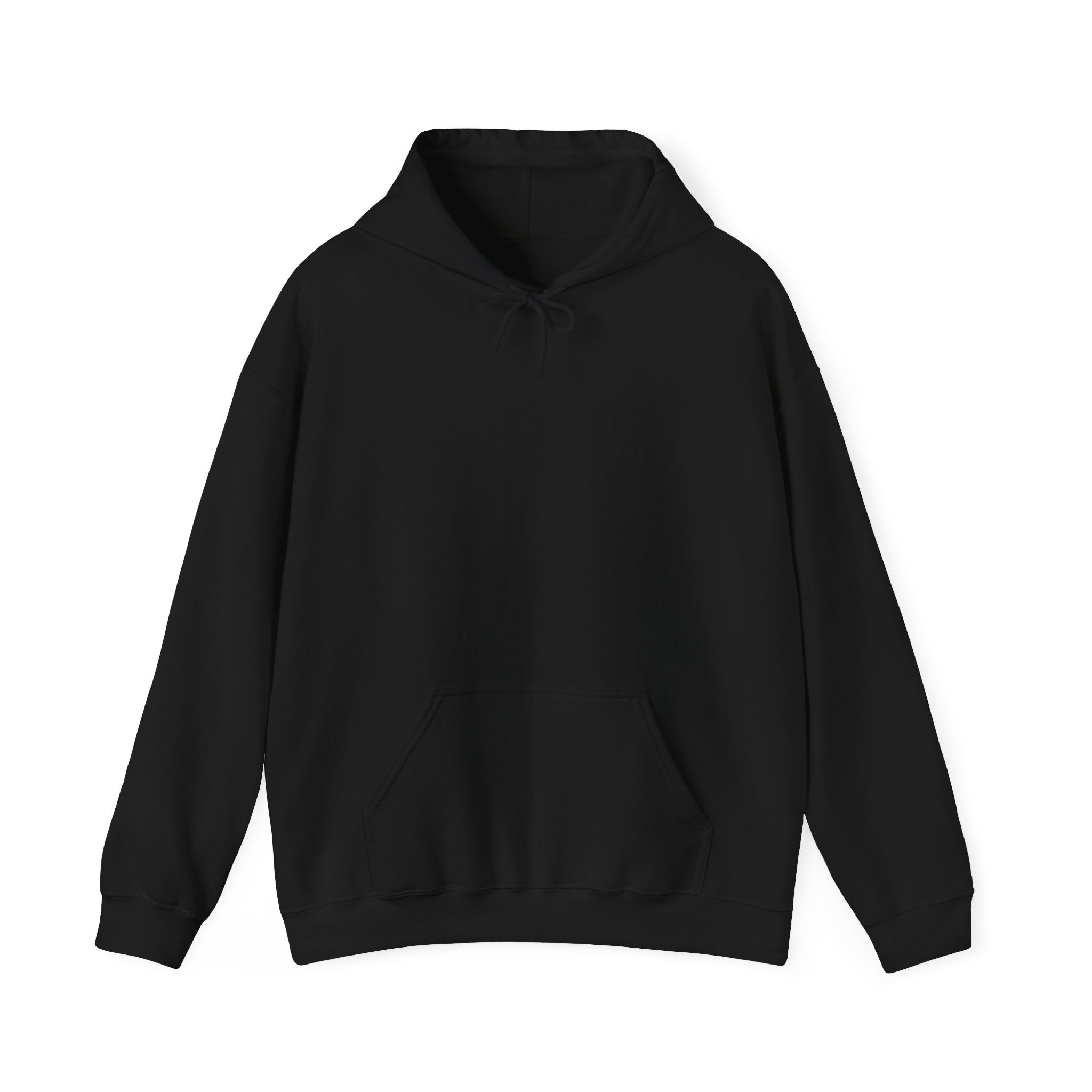 Punjab Backside Hoodie