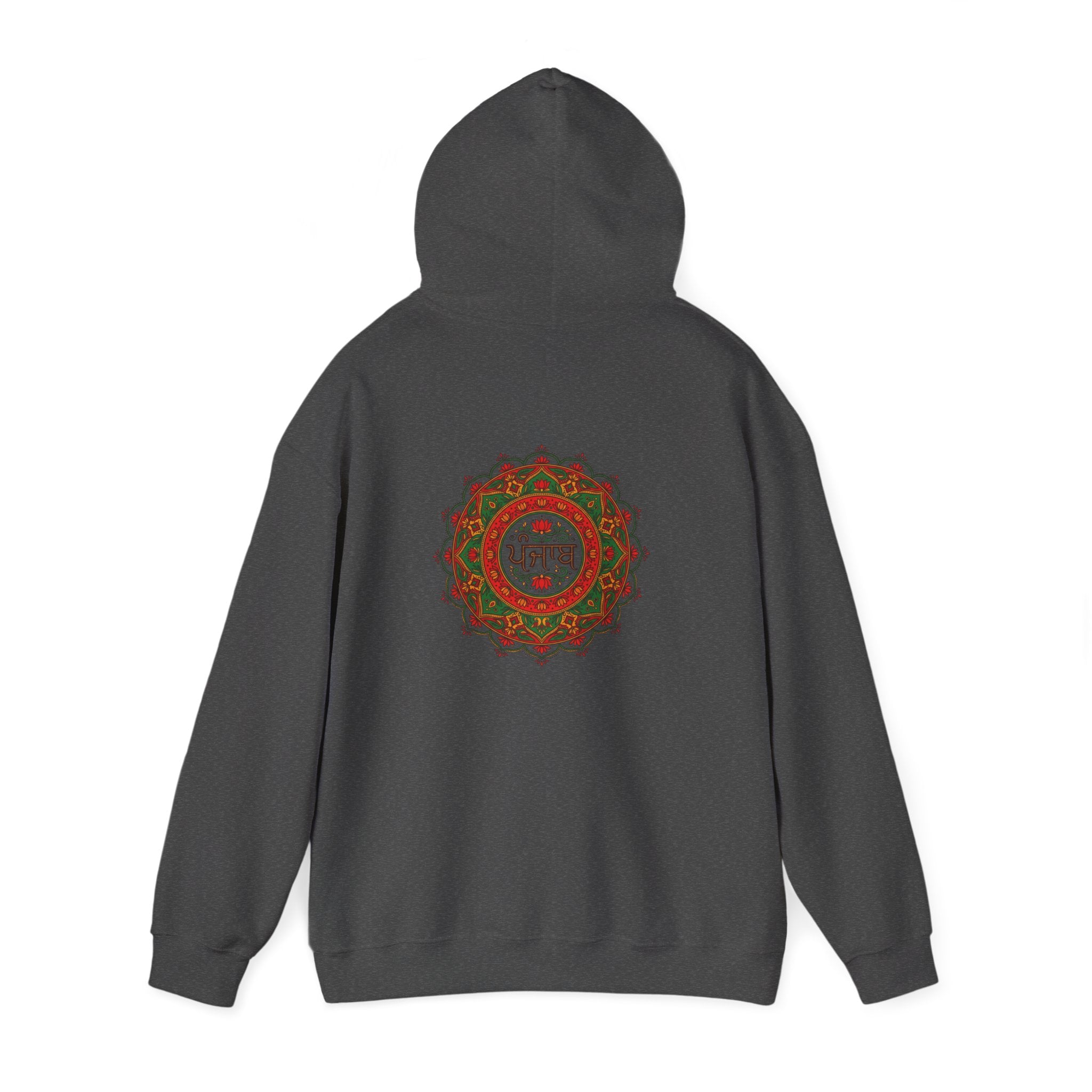 Punjab Backside Hoodie