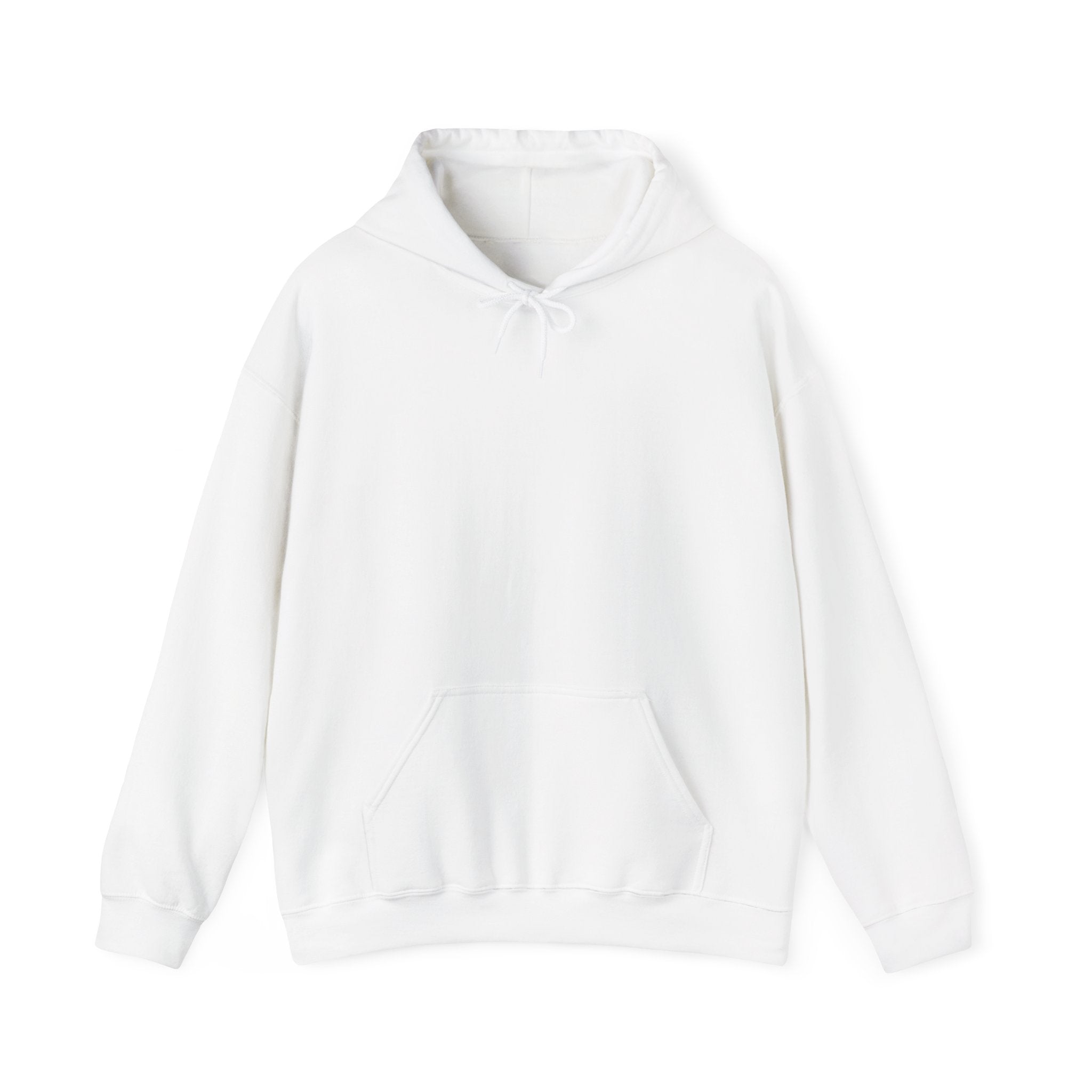 Punjab Backside Hoodie