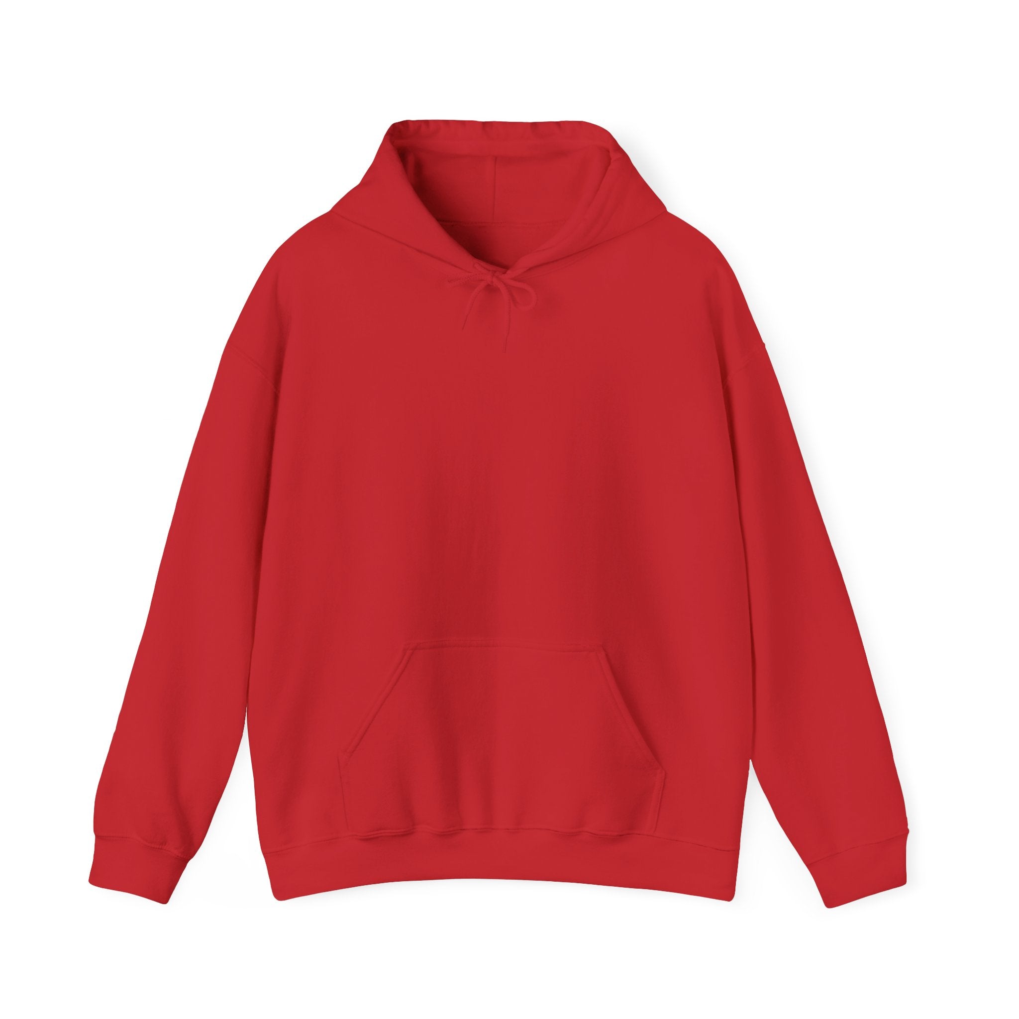 Punjab Backside Hoodie